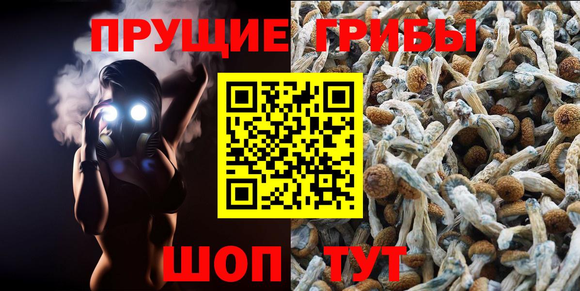Арзамас  Псилоцибиновые грибы мицелий  Вход с VPN 