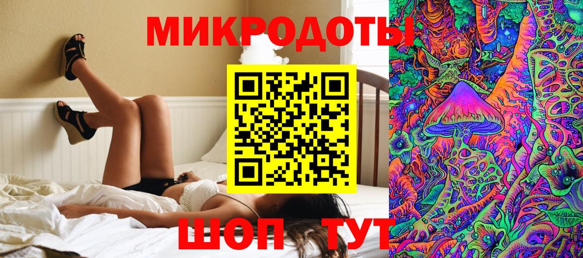 Псилоцибиновые грибы Cubensis Арзамас